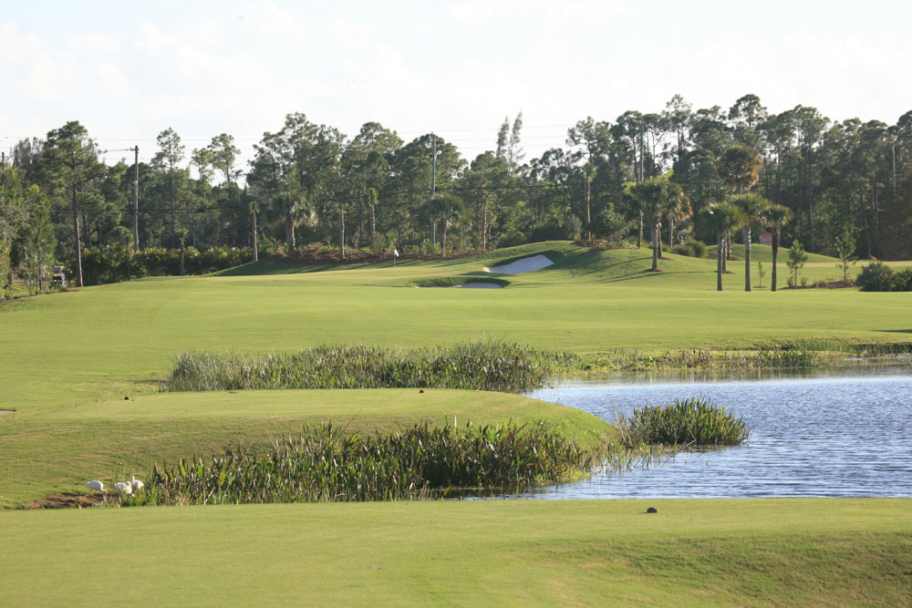 Sandhill Crane Golf Course